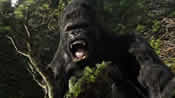 Photo of King Kong